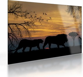 Obraz na szkle - Safari (70x50 cm)