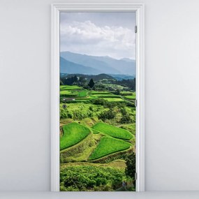 Fototapeta na drzwi - Pola ryżowe (95x205cm)