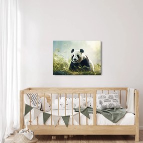 Obraz - Panda (70x50 cm)