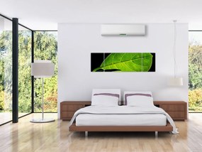 Obraz - zielony liść (170x50 cm)
