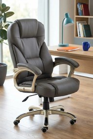 Popielaty Biurowy Skórzany Fotel Obrotowy Regulowany C0-D30