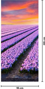 Fototapeta na drzwi - Farma kwiatowa (95x205cm)