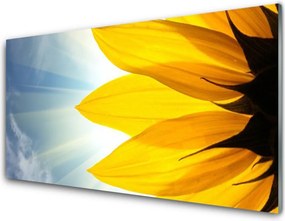 Panel Szklany do Kuchni Delikatne Płatki Kwiatowe