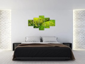 Obraz - Pola ryżowe (125x70 cm)