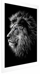 Plakat Niebieskooki lew 21x30 cm bez ramy z marginesem ARTGEIST B
