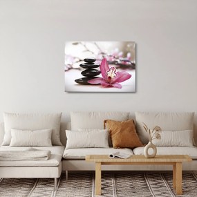 Obraz na szkle - kamienie do masażu i storczyki (70x50 cm)