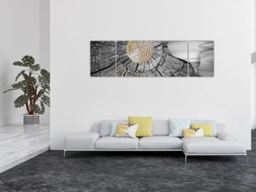 Obraz - Pień drzewa w kolażu (170x50 cm)