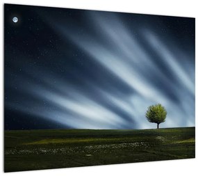 Obraz zorzy polarnej nad wrzosowiskami (70x50 cm)