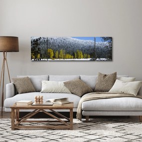 Obraz - ośnieżone góry zimą (170x50 cm)