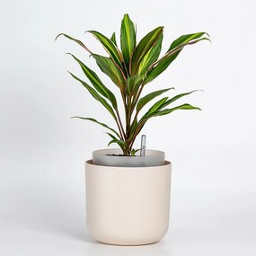 Plastia Doniczka samonawadniająca Tolita beżowy, śr. 16 cm, śred. 16 cm