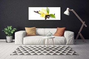 Obraz canvas Botaniczny Portret Wanilii