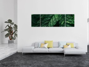 Obraz - Szczegół arkusza (170x50 cm)