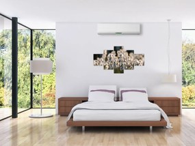 Obraz - Biała wełnianka (125x70 cm)