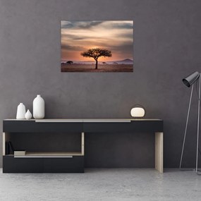 Obraz na szkle zachodu słońca w Tanzanii (70x50 cm)