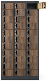 Skrytkowa szafa depozytowa OLIVER, 900 x 1850 x 450 mm, Eco Design: antracytowa/orzech