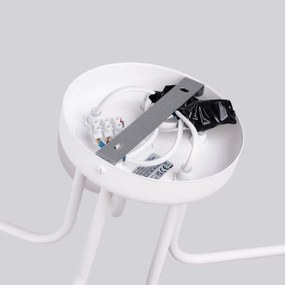 Żyrandol ASTRAL 5 biały SOLLUX  LIGHTING