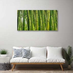 Obraz Canvas Bambusowy Las Pędy Bambusa