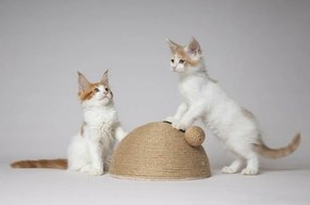 Flamingo Veda Drapak dla kotów, 26 x 14 x 26 cm