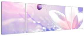 Obraz - Motyl lecący do kwiatu (170x50 cm)