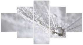 Obraz - Kropla wody (125x70 cm)