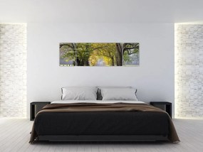 Zdjęcie - Smoky Mountains, Gatlinburg, USA (170x50 cm)