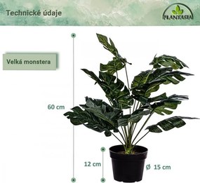 PLANTASIA Sztuczna roślina monstera 60 cm