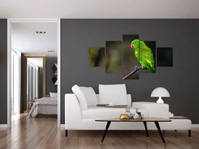 Obraz papugi na gałęzi (125x70 cm)