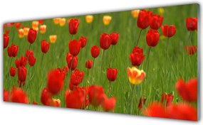 Panel Kuchenny Wiosenna Świeżość Tulipanów