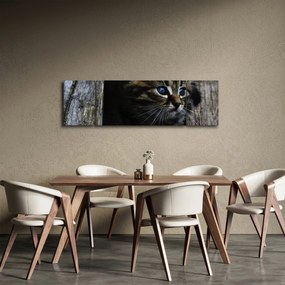 Obraz kotka (170x50 cm)