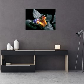 Obraz na szkle motyla (70x50 cm)