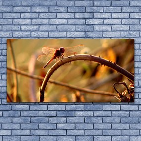 Obraz na płótnie Ważka na Roślinie