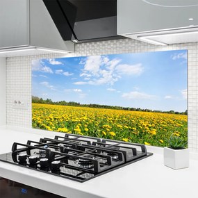 Panel Szklany do Kuchni Słoneczna Łąka Mniszków