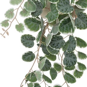 Roślina wisząca SIESTE z plastikową doniczką