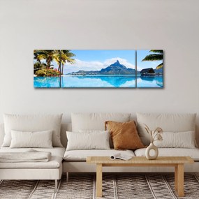 Obraz - Palmy i plaże (170x50 cm)