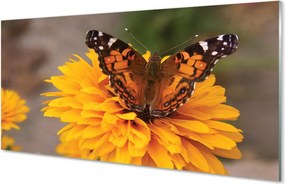 Panel szklany do Kuchni Barwny Motyl w Zbliżeniu