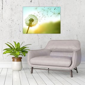 Obraz - Dmuchawiec na wietrze (70x50 cm)