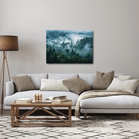 Obraz - Las we mgle (70x50 cm)
