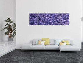 Obraz ośnieżonych drzew (170x50 cm)