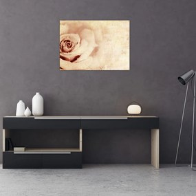 Obraz - Kwiat róży dla zakochanych (70x50 cm)