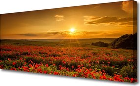 Obraz canvas Maki w Blasku Zachodzącego Słońca