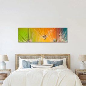 Obraz kropli na roślinie (170x50 cm)