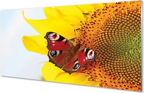 Panel Szklany Motyl na tle Słonecznika