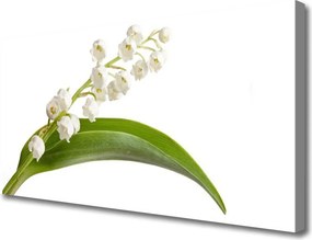 Obraz drukowany na płótnie Letnia Kompozycja Botaniczna