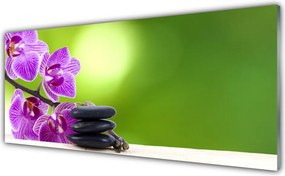 Panel nad blat kuchenny Zielona Elegancja Storczyka