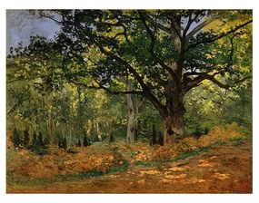 Reprodukcja obrazu Claude'a Moneta – The Bodmer Oak, Fontainebleau Forest, 70x50 cm