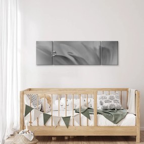 Obraz - Kropla na kwiecie, czarno - biały (170x50 cm)