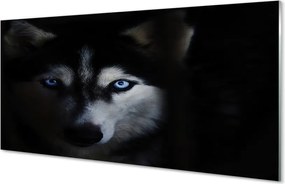 Panel Szklany Spojrzenie Dzikiego Wilka