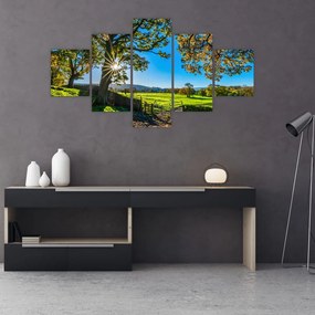 Obraz - widok pola (125x70 cm)