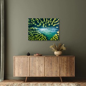 Obraz na szkle - Las spowity mgłą (70x50 cm)