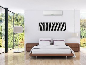 Obraz skóry zebry (170x50 cm)